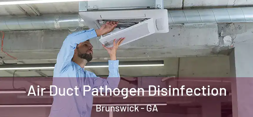  Air Duct Pathogen Disinfection Brunswick - GA