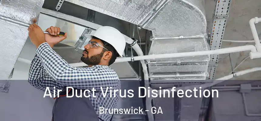  Air Duct Virus Disinfection Brunswick - GA