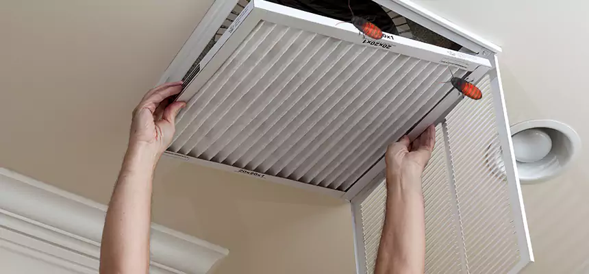 Preventive Cockroach-Proofing for Ducts in Brunswick