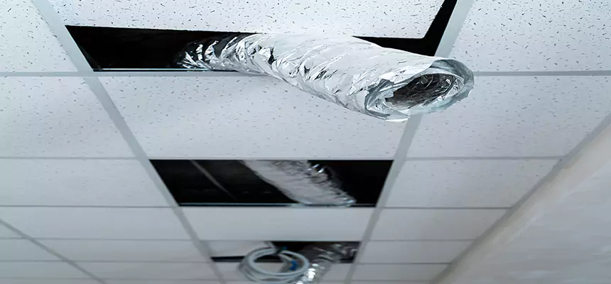 Our Air Duct Pet Hair Removal Services in Brunswick, GA