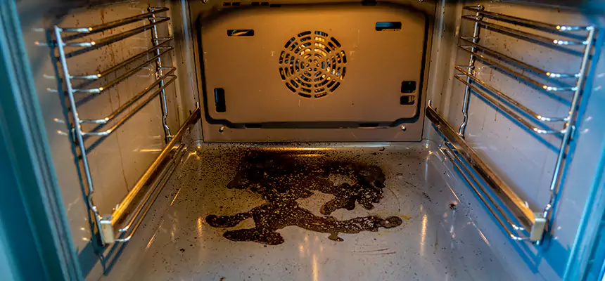 Our Dryer Vent Mold Cleaning Services in Brunswick, GA