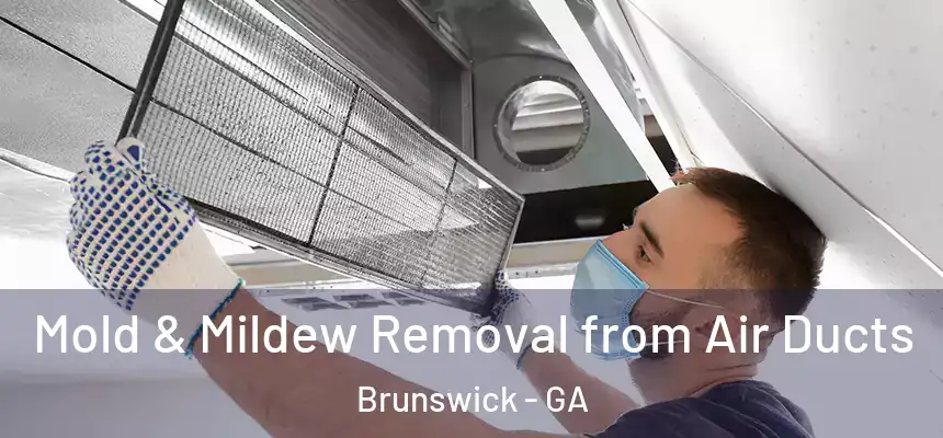  Mold & Mildew Removal from Air Ducts Brunswick - GA