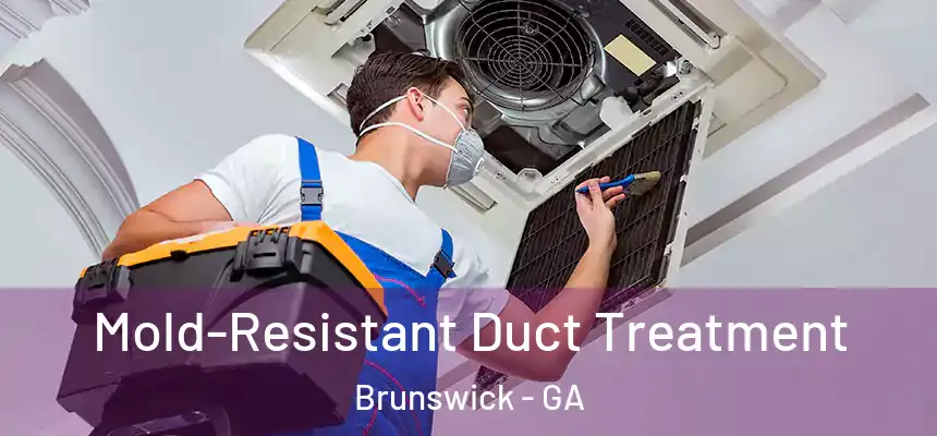  Mold-Resistant Duct Treatment Brunswick - GA