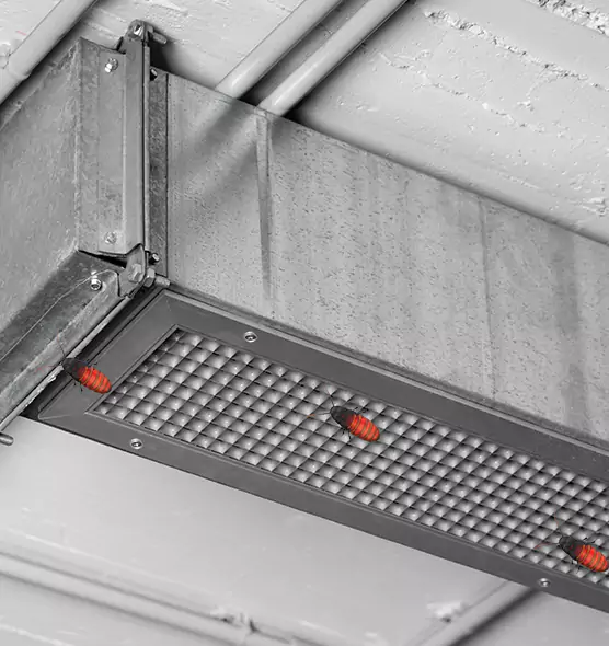About Air Duct Cockroach Removal in Brunswick, GA