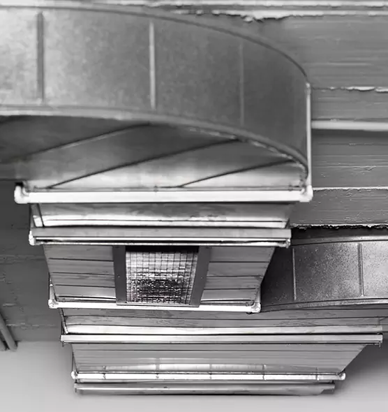 Professional Air Duct Pet Hair Removal in Brunswick, GA