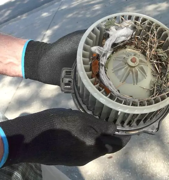 About Air Duct Rat Removal in Brunswick, GA