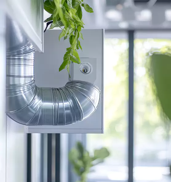 Professional Eco-Safe Dryer Vent Cleaning in Brunswick, GA