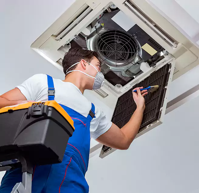 Why Homeowners & Businesses Trust Us in Brunswick, GA