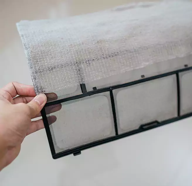 Why Homeowners & Businesses Trust Us in Brunswick, GA?