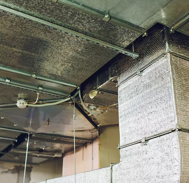 Why Homeowners & Businesses Trust Us in Brunswick, GA?